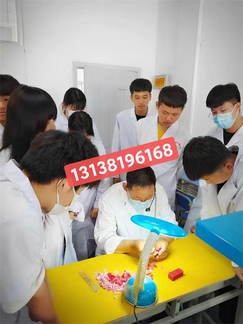 石家莊白求恩醫(yī)學(xué)院升學(xué)對口高考和單招有什么區(qū)別？