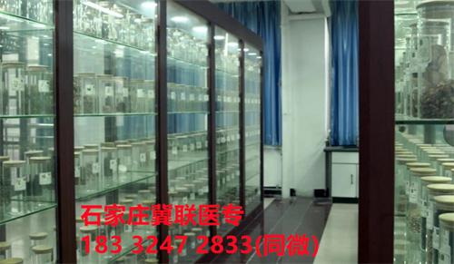 中專中藥專業(yè)能考哪些證書？