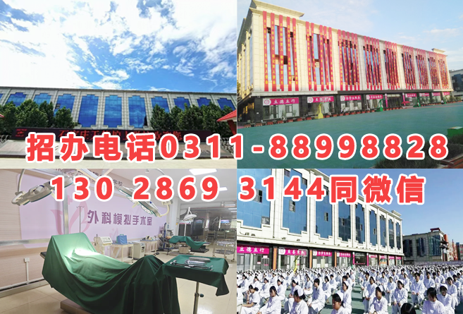 2025年石家莊天使護(hù)士學(xué)校秋季招生簡章