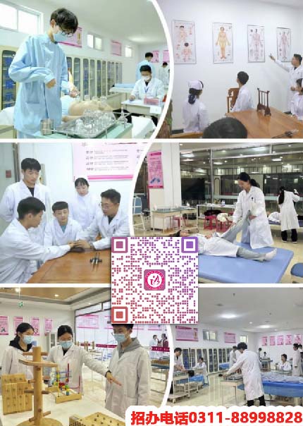 石家莊天使護士學校2026年秋季招生專業(yè)有哪些